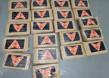 Hurricane Debby's Surprising Catch: Beachgoer Finds $1 Million in Cocaine